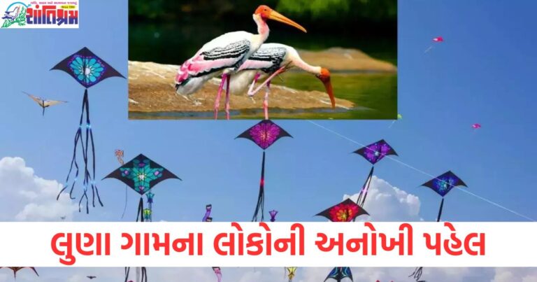 લુણા ગામ, અનોખી પહેલ, સારસ, પતંગ ઉડાવવું, સુરક્ષિત ઉડાન,