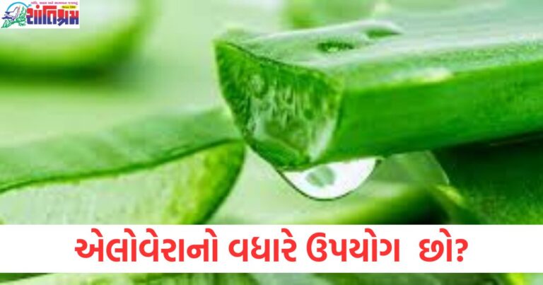 એલોવેરા, એલોવેરાના ફાયદા, એલોવેરાના ગેરફાયદા, સ્કિન કેર, હેર કેર,