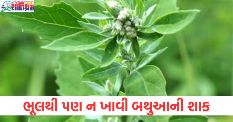 ભૂલથી, (By mistake), બથુઆની શાક, (Bathua leaves), ખાવું, (Eating), હાનિકારક, (Harmful), કિંમત ચૂકવવી, (Pay the price), જમવું, (Consuming), અસુરક્ષિત, (Unsafe), પ્રતિફળ, (Consequences),