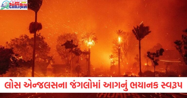 લોસ એન્જલસના જંગલોમાં લાગેલી આગનું ભયાનક સ્વરૂપ , 5 લોકોના મોત