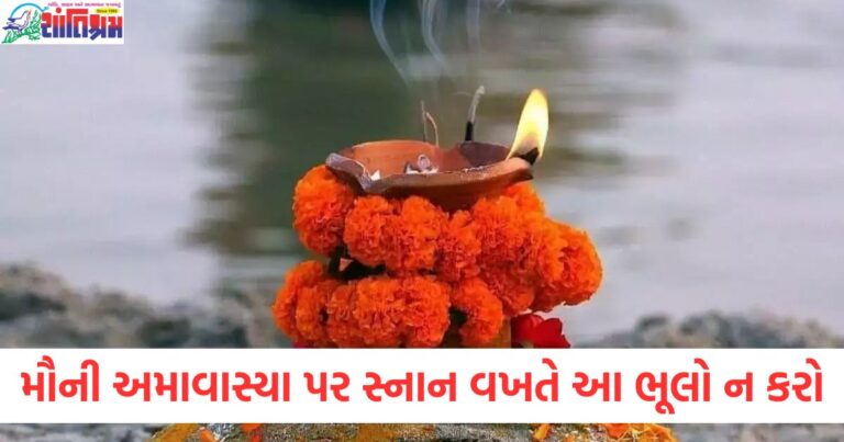 મૌની અમાવાસ્યા (Mauni Amavasya), અમૃત સ્નાન (Amrit Snan), ભૂલો ન કરો (Do not make mistakes), ખરાબ અસર (Bad effects), વિશ્વાસ અને આચાર (Faith and conduct),