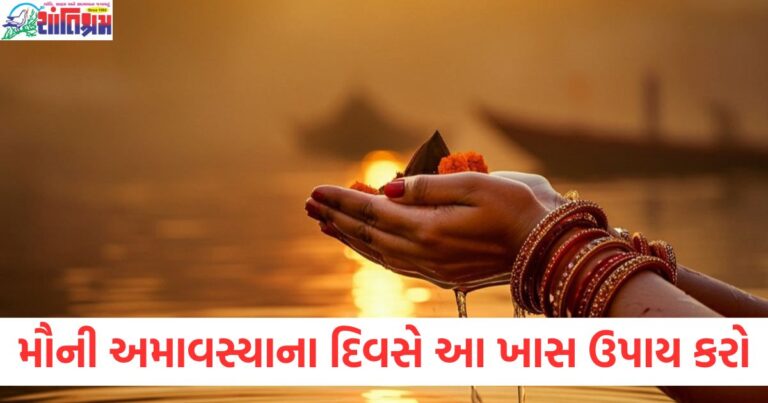 મૌની, અમાવસ્યા, રાશિ, ઉપાય, આર્થિક લાભ, સમૃદ્ધિ, વ્રત,