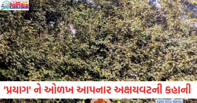 5000 વર્ષ જૂનું વૃક્ષ, અક્ષયવટ, પ્રયાગ, ભગવાન રામ, વનવાસ, અક્ષયવટની કહાની,