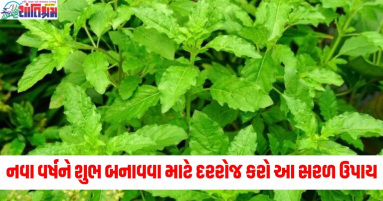 નવું વર્ષ ,(New Year), શુભ બનાવવા, (To make it auspicious), દરરોજ ઉપાય,Daily remedies), સરળ ઉપાય, (Simple remedies), નસીબ ચમકાવવું, (To shine your luck),