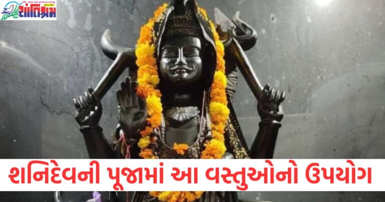 શનિદેવ, (Shani Dev), પૂજા, (Pooja), ભૂલ, (Mistake), ઉપયોગ, (Use), વસ્તુઓ, (Things), ભોગવવા પડશે, (Will Suffer),