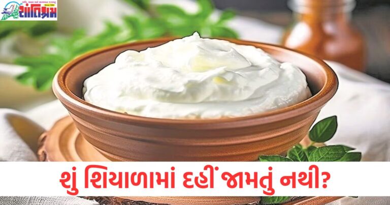 શું શિયાળામાં દહીં જામતું નથી, તો આ ટિપ્સ અજમાવો