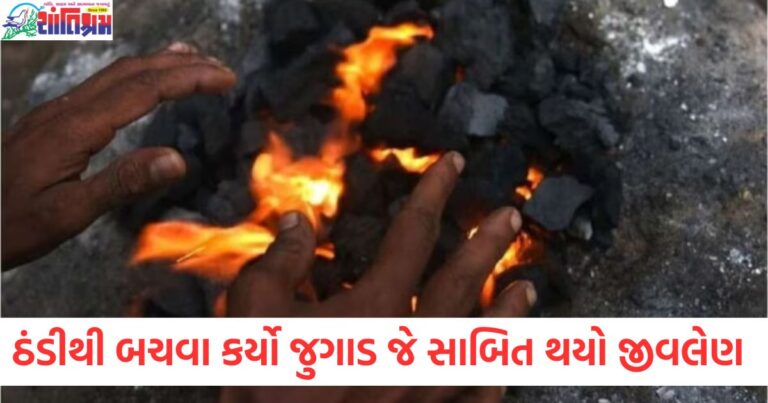 ઠંડીથી, બચવા, જુગાડ, જીવલેણ, સવારે, મળ્યા,