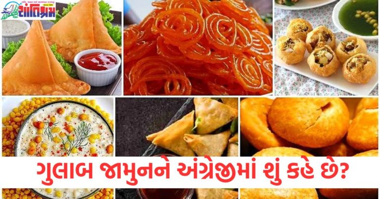 પાણીપુરી, જલેબી, સમોસા અને ગુલાબ જામુનને અંગ્રેજીમાં શું કહે છે? ન જાણતા હોવ તો જાણી લો