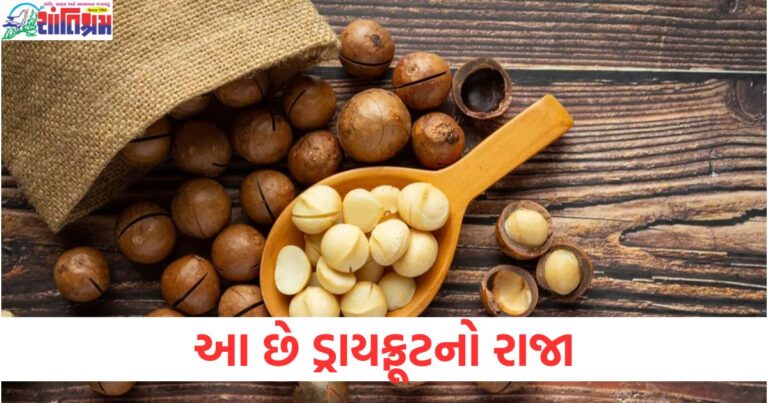 કાજુ અને બદામ કરતાં વધુ શક્તિશાળી છે આ ડ્રાયફ્રૂટ, શરીરને બનાવે છે મજબૂત