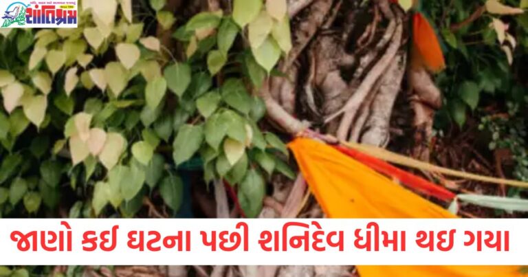 શનિનો પ્રકોપ, પીપળાની પૂજા, શનિદેવ, શનિદેવની દયા, પિંડદાન,