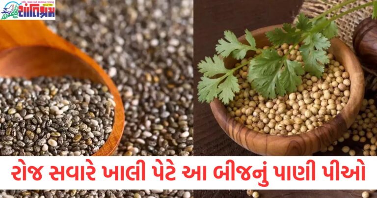 "આ બીજનું પાણી ખાલી પેટે પીવાથી શું ફાયદા થાય છે?", "ખાલી પેટે બીજનું પાણી પીવાથી બીમારીઓથી બચાવ", "આ બીજના પાણી પીનાં આરોગ્ય લાભ", "પ્રाकृतिक ઉપચાર: ખાલી પેટે બીજનું પાણી પીવું", "દૈનિક રુટિન માટે ખાલી પેટે બીજનું પાણી પીનાં ફાયદા",