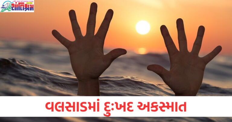 વલસાડમાં દુઃખદ અકસ્માત, પિકનિક માટે ગયેલા 5 વિદ્યાર્થીઓ નદીમાં ડૂબ્યા