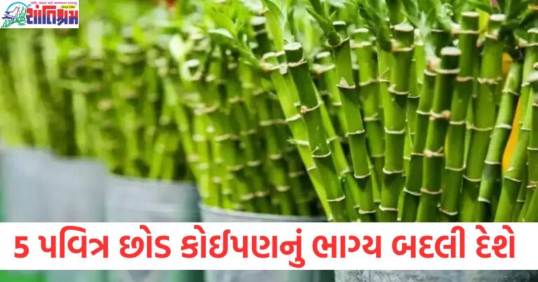 મહાભારત કાળના પવિત્ર છોડ, મહાભારતમાં આ વિષેષ મહત્વ ધરાવતાં છોડ, મહાભારતના પવિત્ર વૃક્ષો, કોઈનું ભાગ્ય બદલી શકે એવા પવિત્ર છોડ, મહાભારતમાં ઉમદા ભૂમિકા ભજવનારા વૃક્ષો,