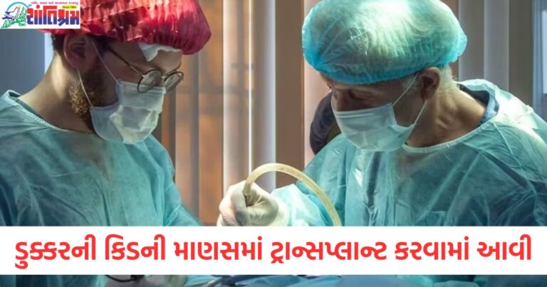 એક ડુક્કરની કિડની માણસમાં ટ્રાન્સપ્લાન્ટ કરવામાં આવી,ઓપરેશન પછી તે વ્યક્તિ ઘરે પાછો ફર્યો,ડોક્ટરોનો નવો ચમત્કાર