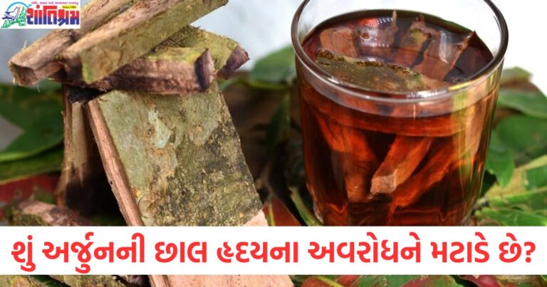 શું અર્જુનની છાલ હૃદયના અવરોધને મટાડે છે? તેના ફાયદા અને ગેરફાયદા જાણો