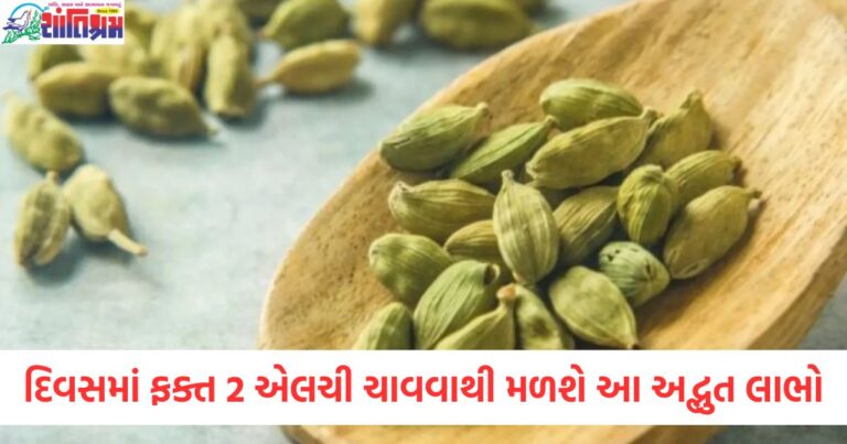 દિવસમાં 2 એલચી ખાવાથી સ્વાસ્થ્યના ફાયદા, દિવસમાં 2 એલચી ખાવાના લાભો શું છે?, એલચી ખાવાથી શું આરોગ્ય લાભ મળે છે?, એલચી ખાવાનો યોગ્ય સમય અને ફાયદા, દિવસમાં 2 એલચી ખાવાથી કઈ બિમારીઓ દૂર થાય છે?,