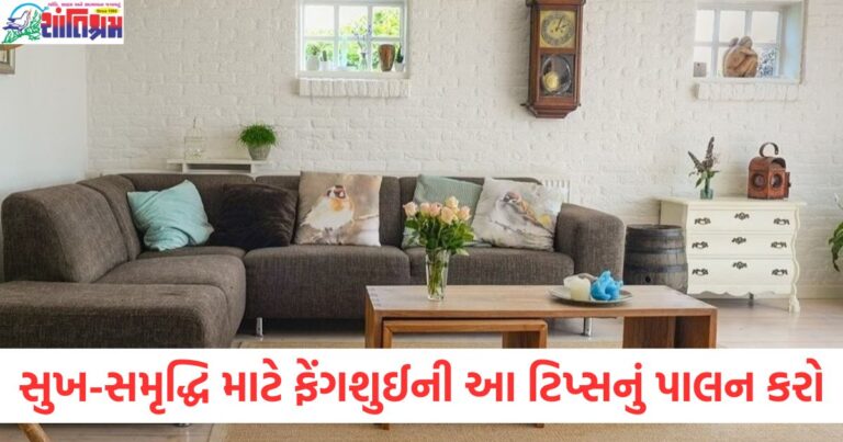 ઘરની સુખ-સમૃદ્ધિ માટે ફેંગશુઈની આ ટિપ્સનું પાલન કરો, તમારી પૈસાની અછત દૂર થશે