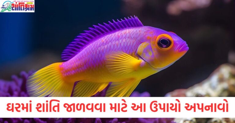 ઘરમાં શાંતિ જાળવવા માટે આ ફેંગશુઈ ઉપાયો અપનાવો,જાણો વસ્તુ શાસ્ત્ર પ્રમાણેના નિયમો