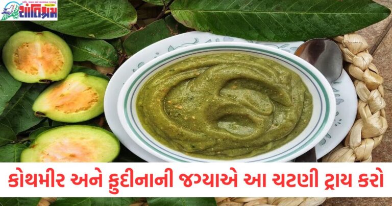 કોથમીર અને ફુદીનાની જગ્યાએ આ ચટણી ટ્રાય કરો, સ્વાસ્થ્ય માટે લાભદાયક, કોથમીર અને ફુદીનાની જગ્યાએ ઉપયોગી ચટણી, સ્વાસ્થ્ય માટે ફાયદાકારક, કોથમીર અને ફુદીનાની જગ્યાએ ચટણી સાથે સ્વાદ અને સ્વાસ્થ્યનો સંમેલન, સ્વાસ્થ્ય માટે આ નવું ચટણી પસંદ કરો, કોથમીર અને ફુદીનાની જગ્યાએ, સ્વાસ્થ્યના લાભ માટે કોથમીર અને ફુદીનાની જગ્યાએ પસંદ કરેલી ચટણી,