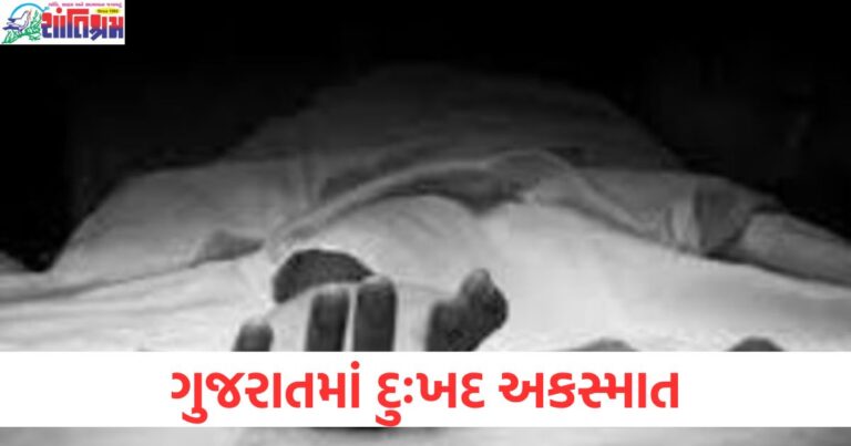 ગુજરાતમાં દુઃખદ અકસ્માત, મજૂરોના જૂથ પર ટ્રક પલટી જતા 4 મૃત્યુ પામ્યા