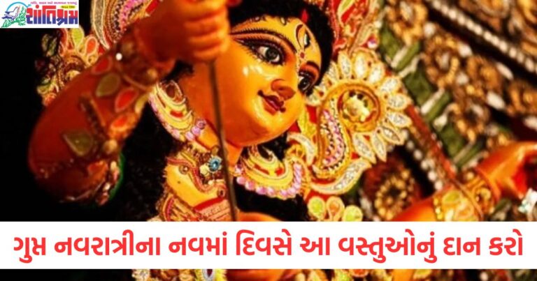 ગુપ્ત નવરાત્રીના નવમો દિવસ અને તમારી રાશિ અનુસાર દાન કરો, ગુપ્ત નવરાત્રીમાં દાન કરવાને કારણે શુભ ફળ મેળવો, આજે ગુપ્ત નવરાત્રીના નવમો દિવસે કઈ વસ્તુનો દાન કરવો જોઈએ, તમારી રાશિ અનુસાર ગુપ્ત નવરાત્રીમાં દાન કરવાના શ્રેષ્ઠ વિકલ્પ, ગુપ્ત નવરાત્રીના નવમો દિવસે રાશિ અનુસાર રાશિદાત આપવાનું મહત્વ,