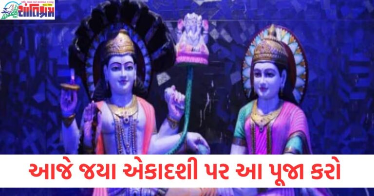 આજે જયા એકાદશી અને શુભ સમય પર પૂજા વિધિ, જયા એકાદશી: સવારથી સાંજ સુધી પૂજા માટે શુભ સમય, જયા એકાદશી 2025: સવારથી સાંજ સુધી પૂજા અને શુભ મુહૂર્ત, જયા એકાદશી પર શુભ સમય અને પૂજા વિધિ, આજે જયા એકાદશી માટે સારો સમય અને પૂજા કરી શકતા સમય,