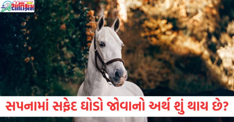 સપનામાં સફેદ ઘોડો જોવાનો અર્થ નોકરી અને વ્યવસાય સાથે સંબંધ, સફેદ ઘોડો સપનામાં જોવાનો અર્થ અને વ્યવસાય માટે માર્ગદર્શક સંકેત, નોકરી અને વ્યવસાય માટે સપનામાં સફેદ ઘોડો જોવાનું અર્થ, આર્થિક અને વ્યવસાયિક સફળતા માટે સફેદ ઘોડા સાથેના સંકેત,