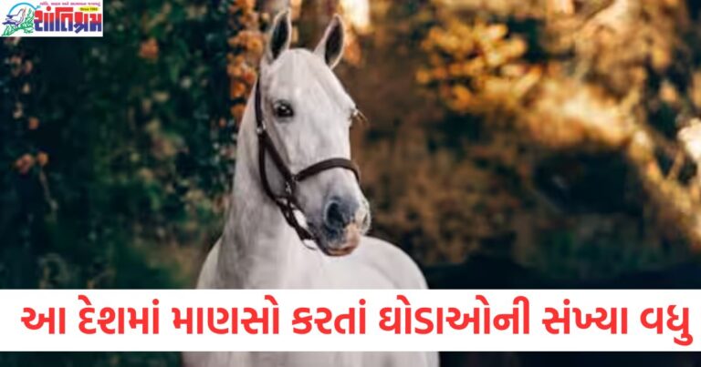 આ દેશમાં માણસો કરતાં ઘોડાઓની સંખ્યા વધુ , જાણો તેમની સંખ્યા કેટલી છે?