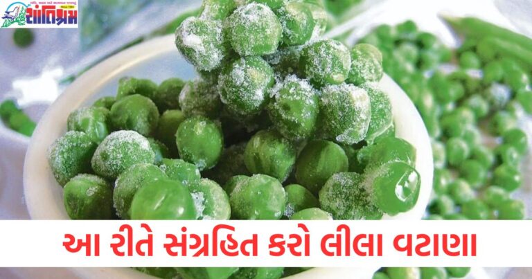 લીલા વટાણા લાંબા સમય સુધી તાજા રાખવાના ઉપાયો, લીલા વટાણાનું સંગ્રહણ કેવી રીતે કરવું?, હંમેશા તાજા રહે તે માટે લીલા વટાણાને સાચવવાની રીત, ફ્રીઝમાં લીલા વટાણા સંગ્રહ માટે બેસ્ટ પદ્ધતિ, ઘરમાં જ લીલા વટાણા કઈ રીતે સંગ્રહિત કરી શકાય?,